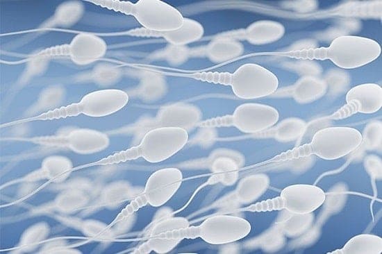 5 myths about the dangers and benefits of sperm | Informative